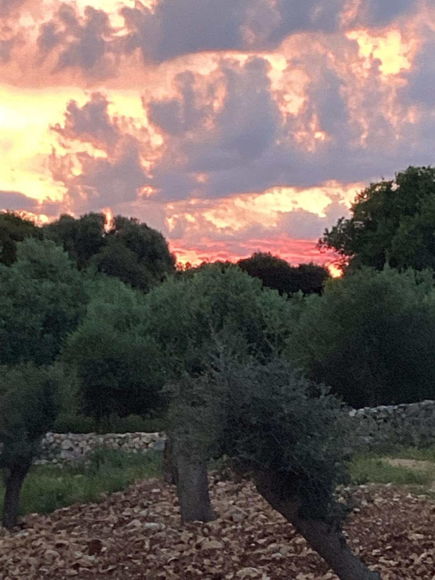 Croatia Heaven * Lun (Pag)